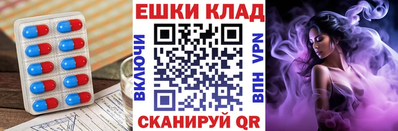 сколько стоит  Талица  ЭКСТАЗИ Philipp Plein 