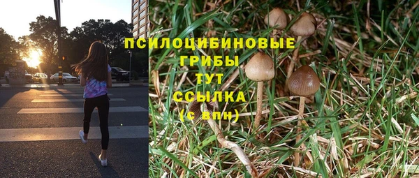 сатива Рославль