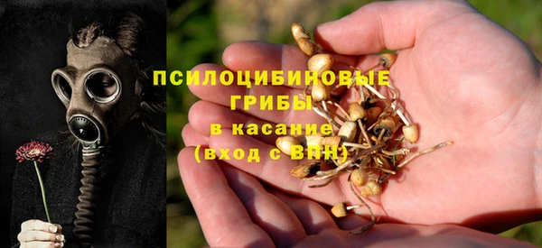 ECSTASY Аркадак