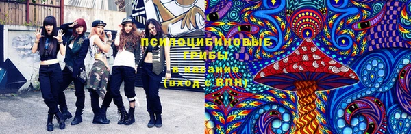 ECSTASY Аркадак
