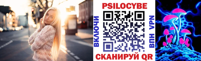 Галлюциногенные грибы мухоморы  купить наркотики цена  Талица 